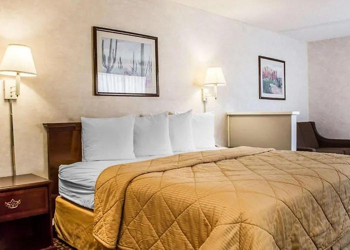 Quality & Hotel