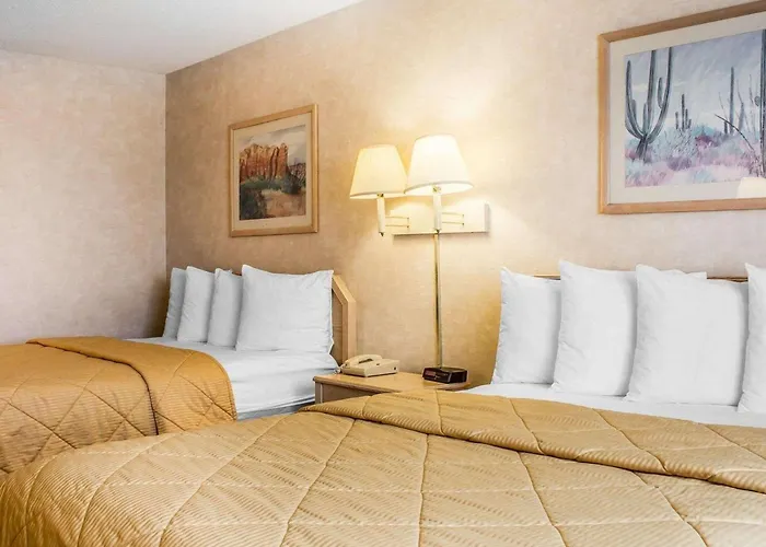 Hotel Quality & 4*