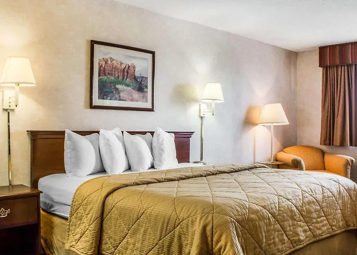 Quality & Hotel