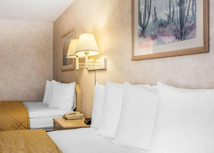 Quality & Hotel