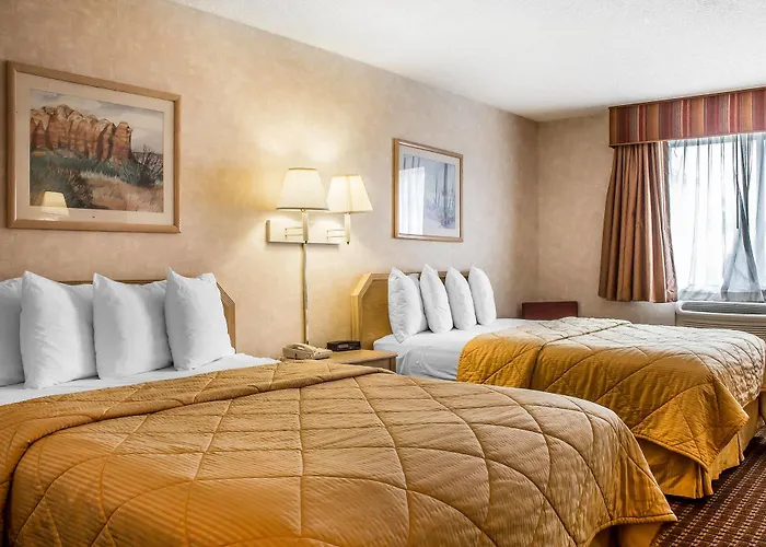 Quality & Hotel 4*