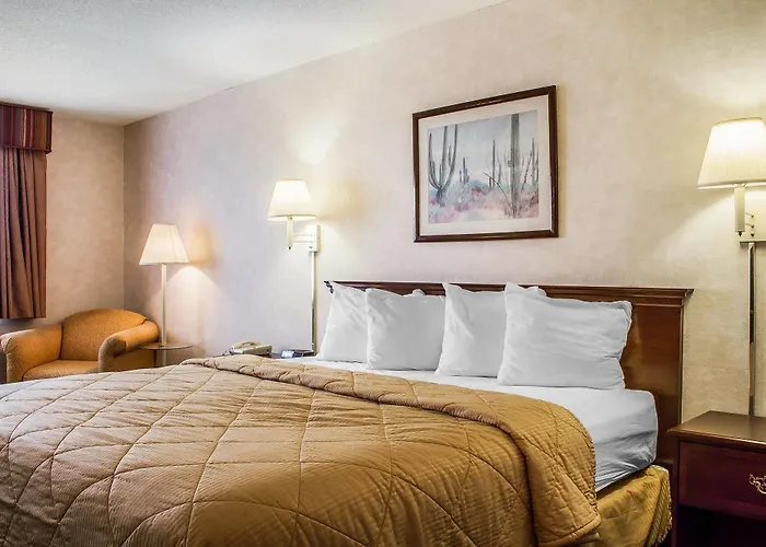 Quality & Hotel 4*